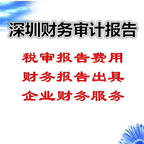 深圳企業財務審計報告編制全流程指南